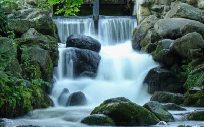 die Liebe fliesst sowieso