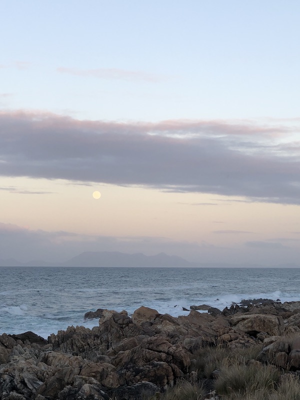 feinfühlig Ausbildungspaket