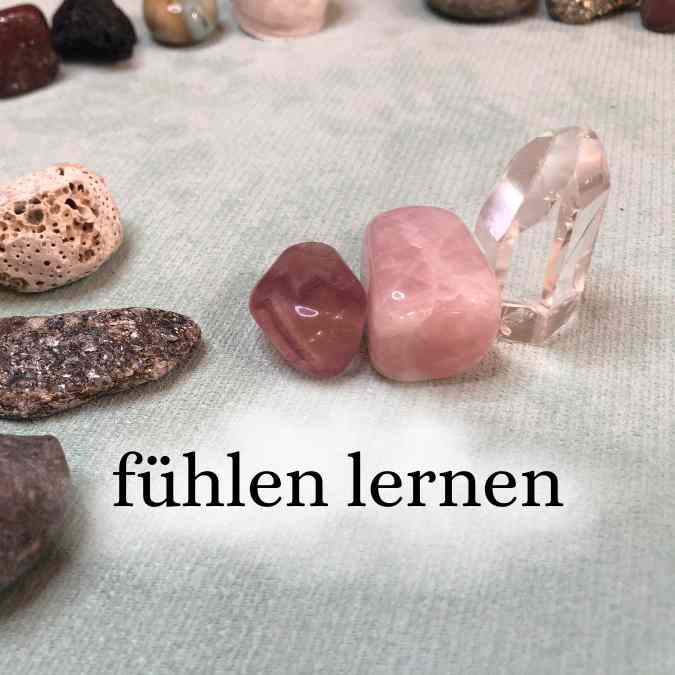 Angebot Tagesworkshops